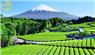 Du lịch núi Phú Sĩ Nhật Bản ngọn núi đẹp nhất xứ Phù tang